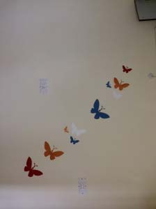 wall image